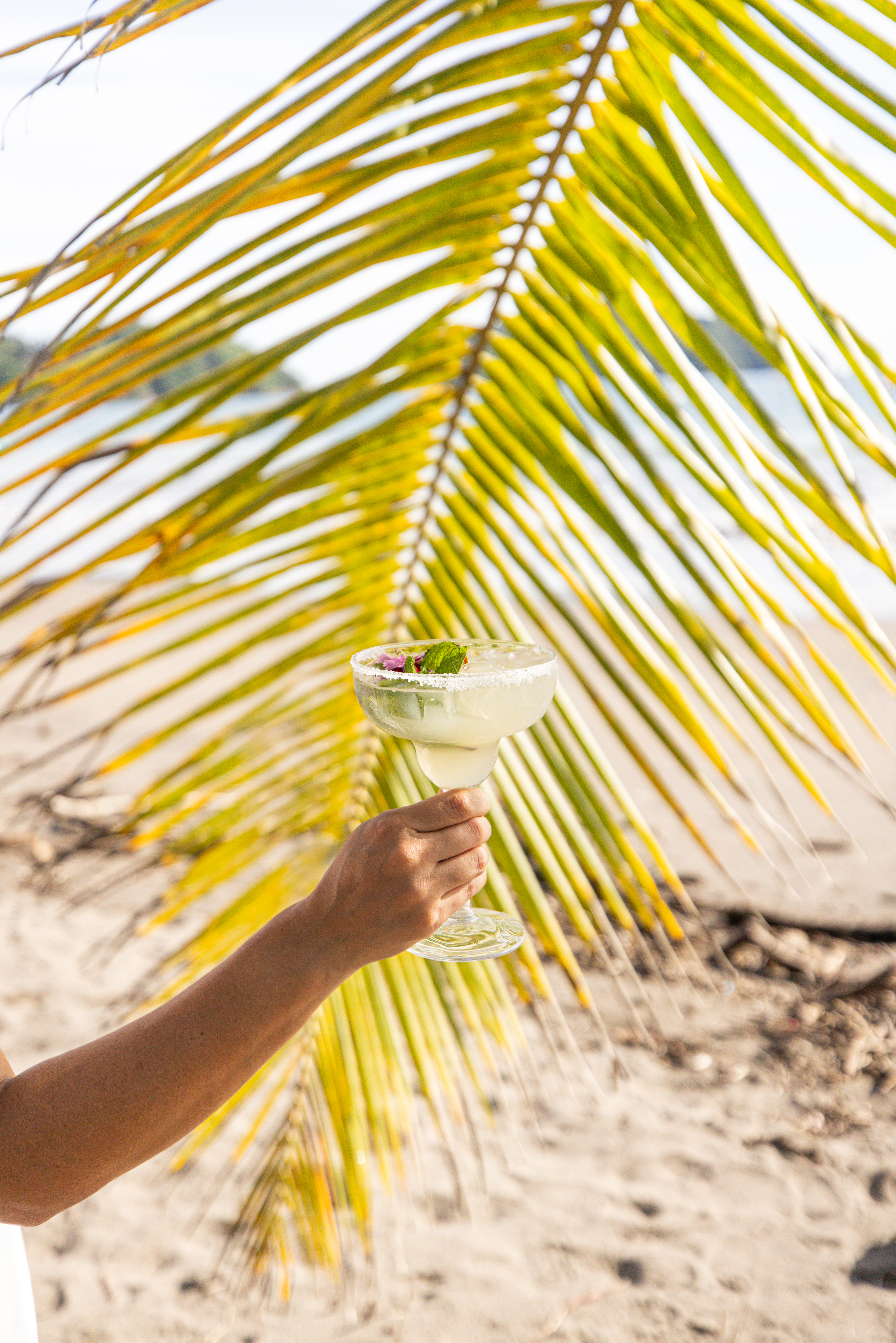 Margarita frente a la playa con palmeras